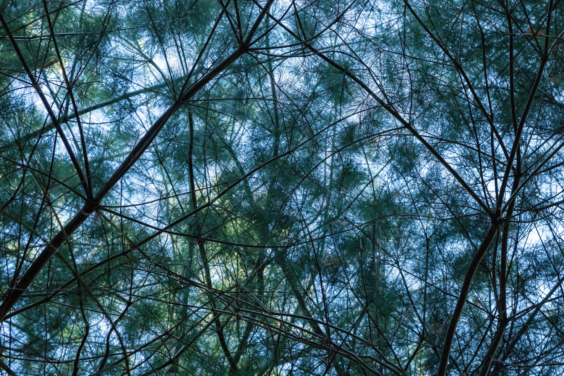 Tangled Geometry